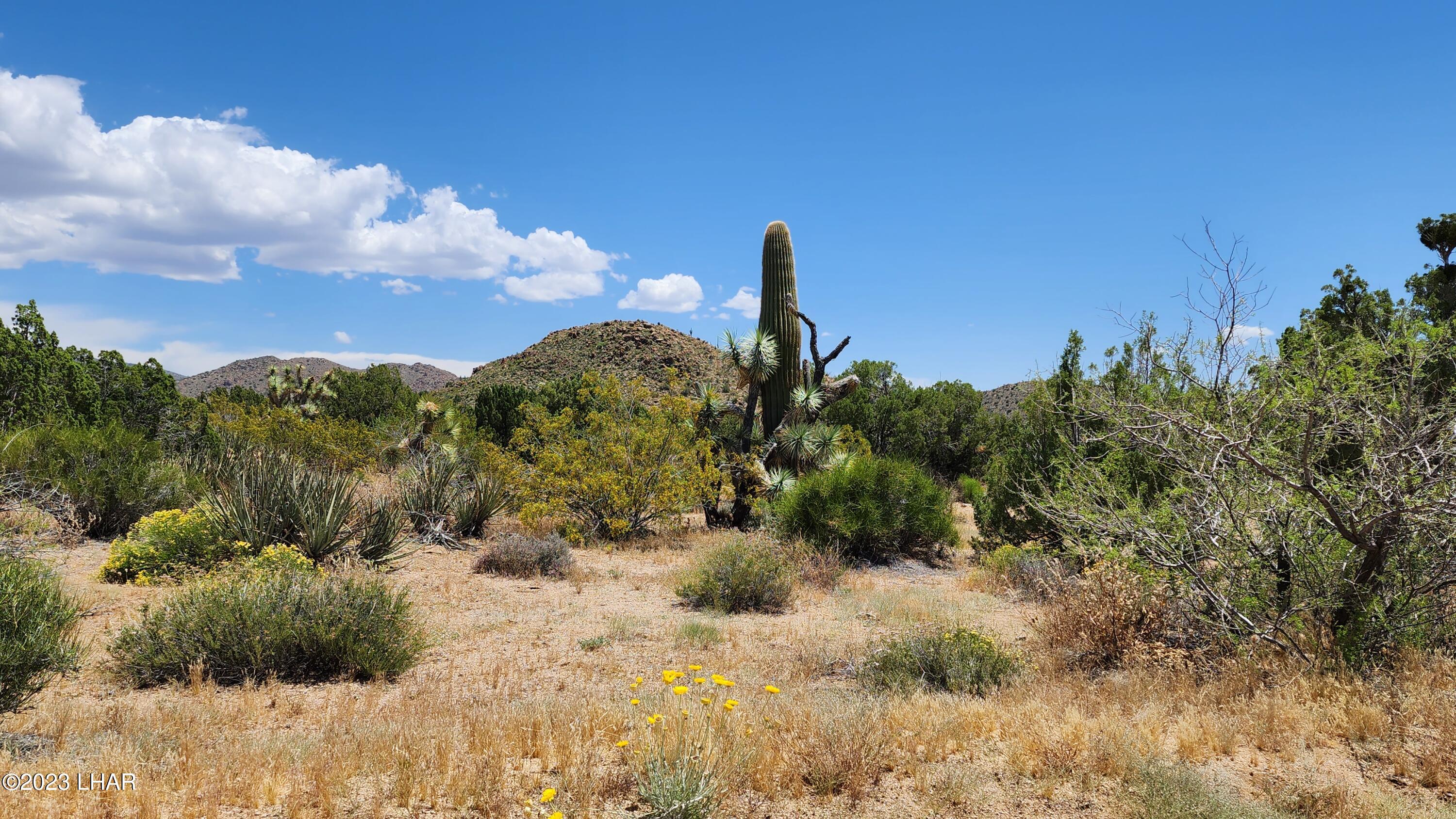 101 South Gunsmoke Road Yucca, AZ 86438 - Photo 9 of 67 20230513_124334