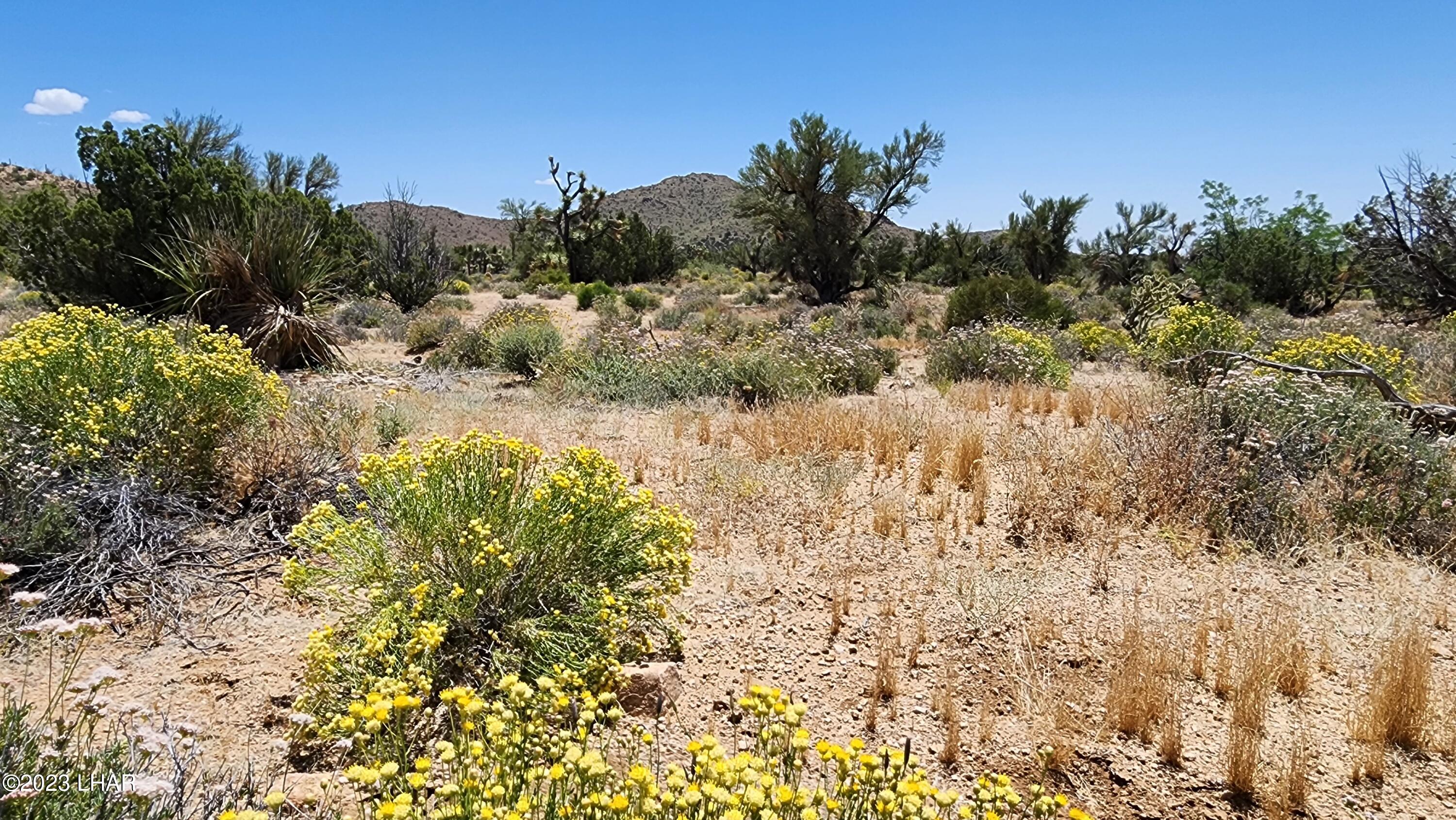 101 South Gunsmoke Road Yucca, AZ 86438 - Photo 10 of 67 20230513_122409