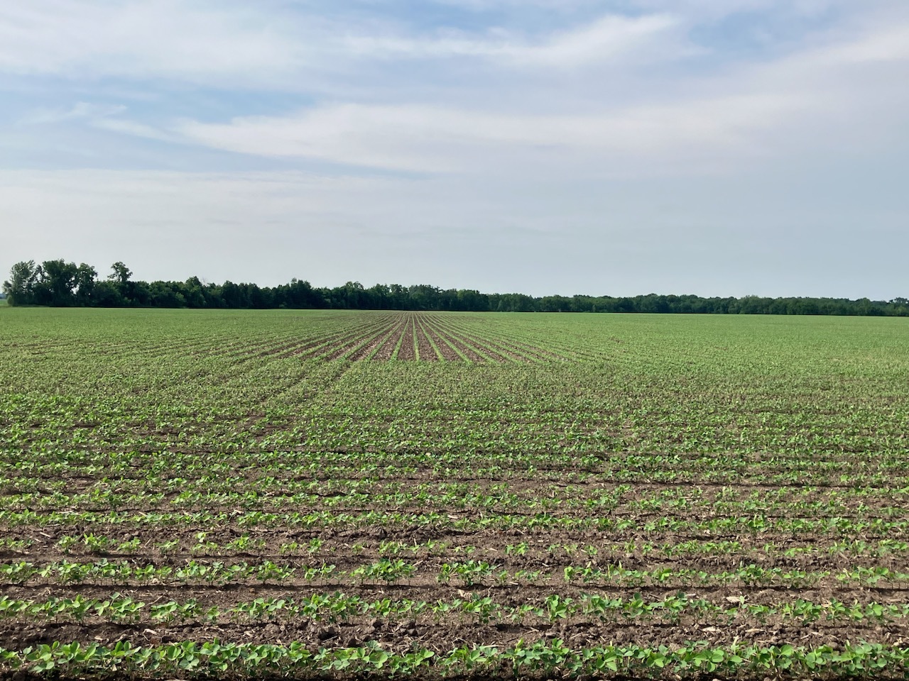 0 Center Road Rochelle, IL 61068 - Photo 20 of 32