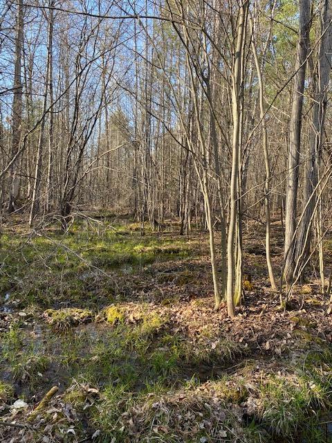 Ray Road Mio, MI 48647 - Photo 15 of 30 Gallery Image 15