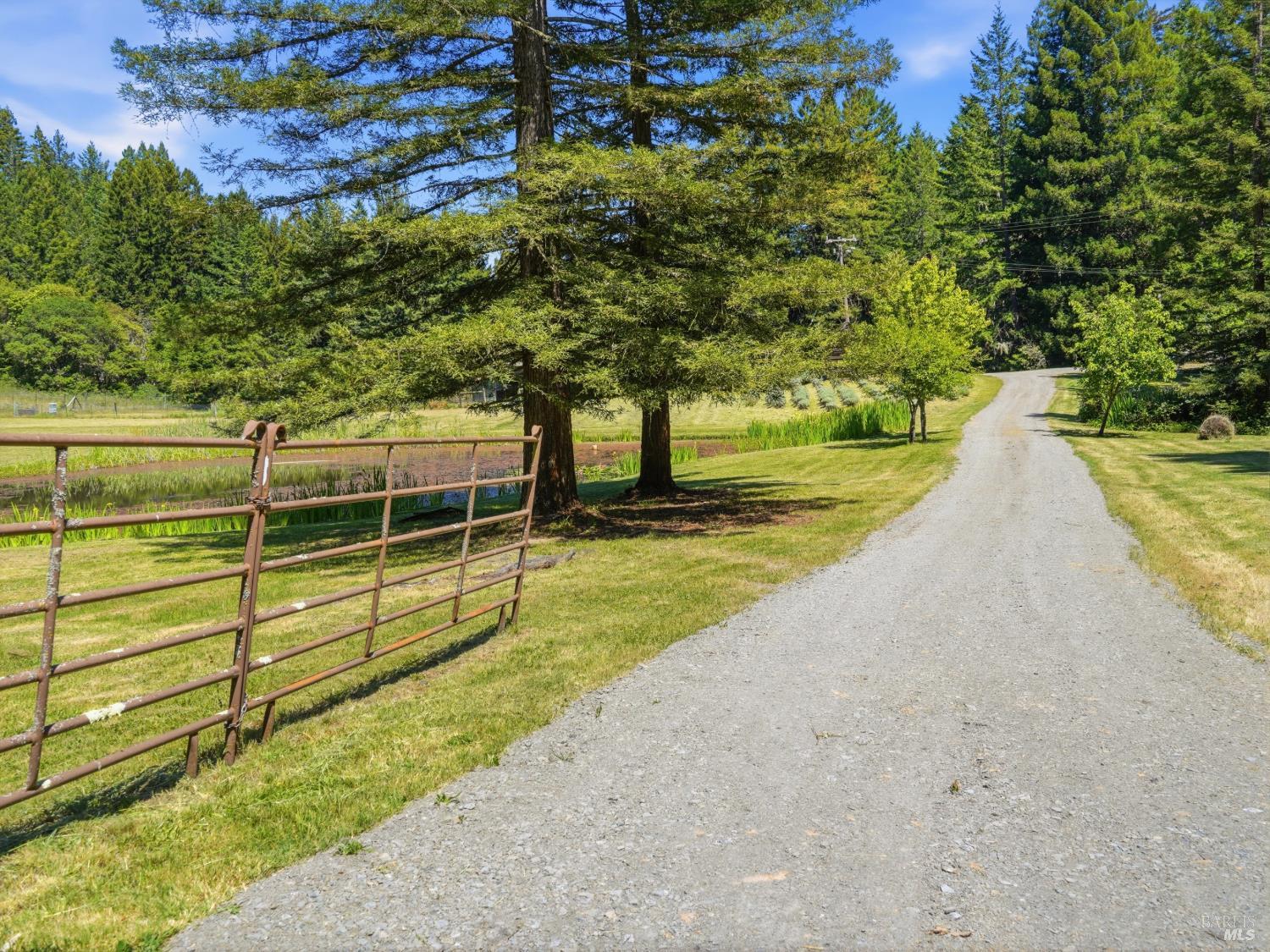 31397 Seaview Road Cazadero, CA 95421 - Photo 45 of 47 a view of a swimming pool with a yard