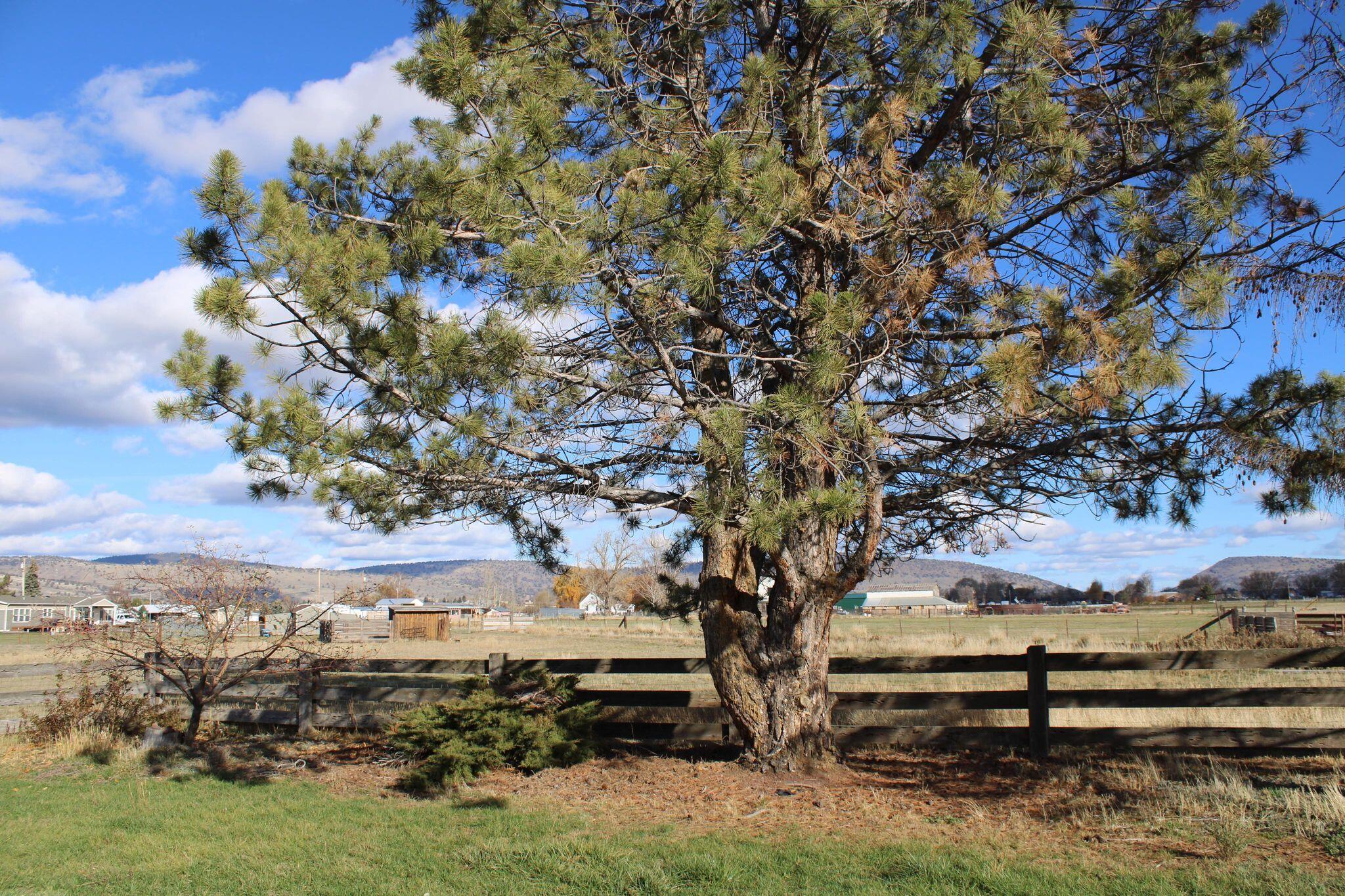 6415 Homedale Road Klamath Falls, OR 97603 - Photo 31 of 35 255163145_483949469535112_71983439190498