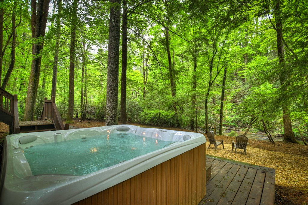 300 River Road Cherry Log, GA 30522 - Photo 108 of 119 a view of a swimming pool with a patio
