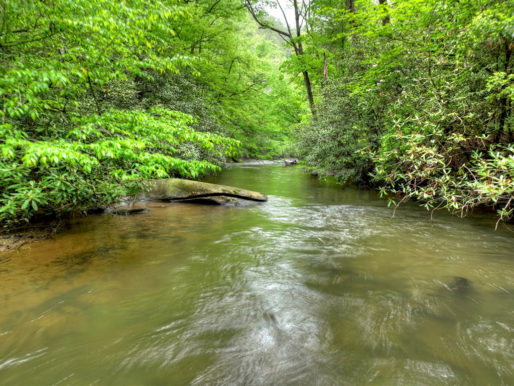 300 River Road Cherry Log, GA 30522 - Photo 53 of 119