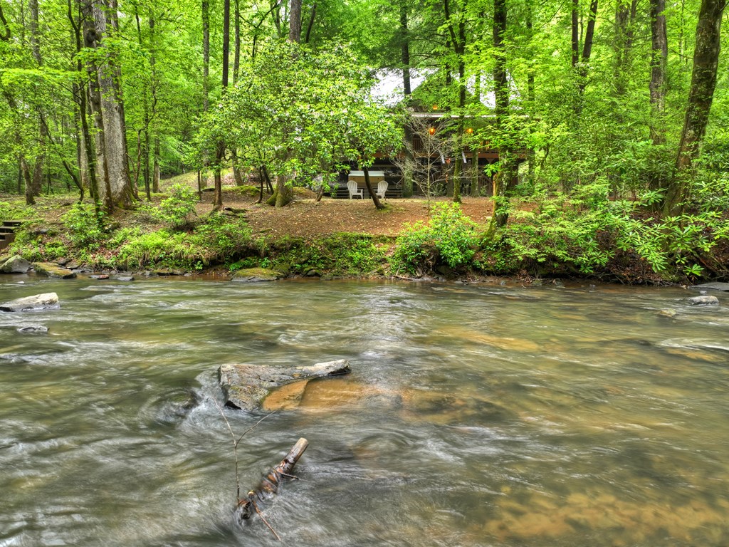 300 River Road Cherry Log, GA 30522 - Photo 61 of 119