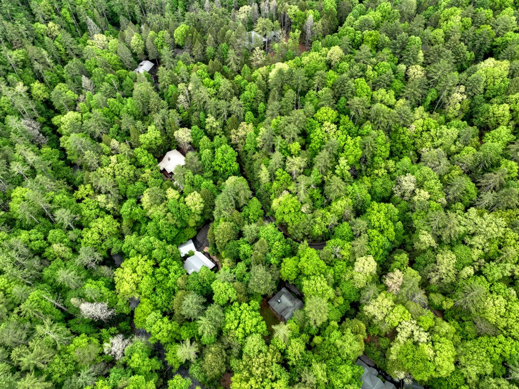 300 River Road Cherry Log, GA 30522 - Photo 88 of 119