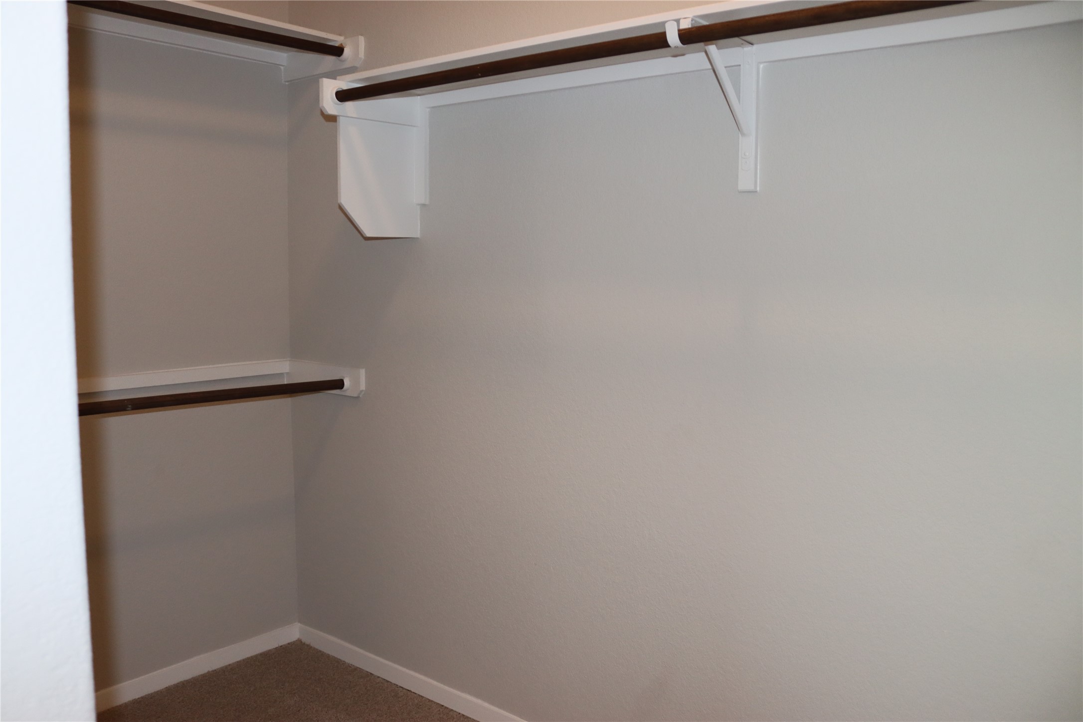 225 Graver Street Georgetown, TX 78626 - Photo 4 of 19 Walk in closet featuring dark colored carpet