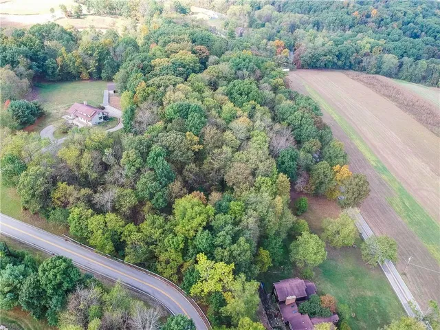 a view of a garden with a bench and trees
