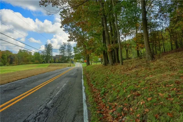a view of a yard with large trees