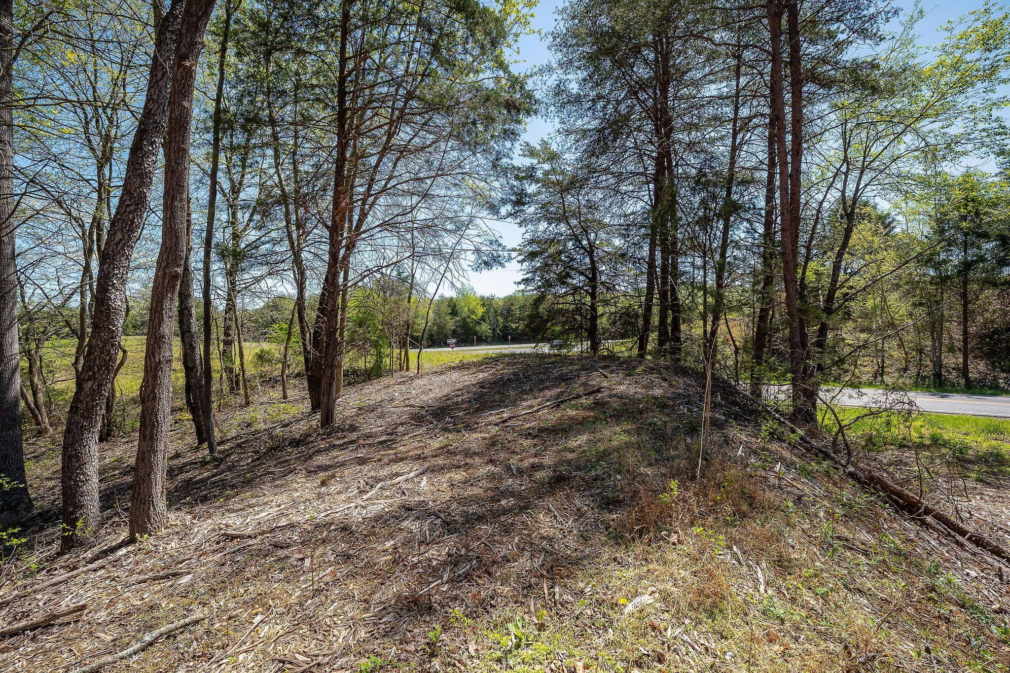 0 West Howard Road Livingston, TN 38570 - Photo 16 of 17 Gallery Image 16