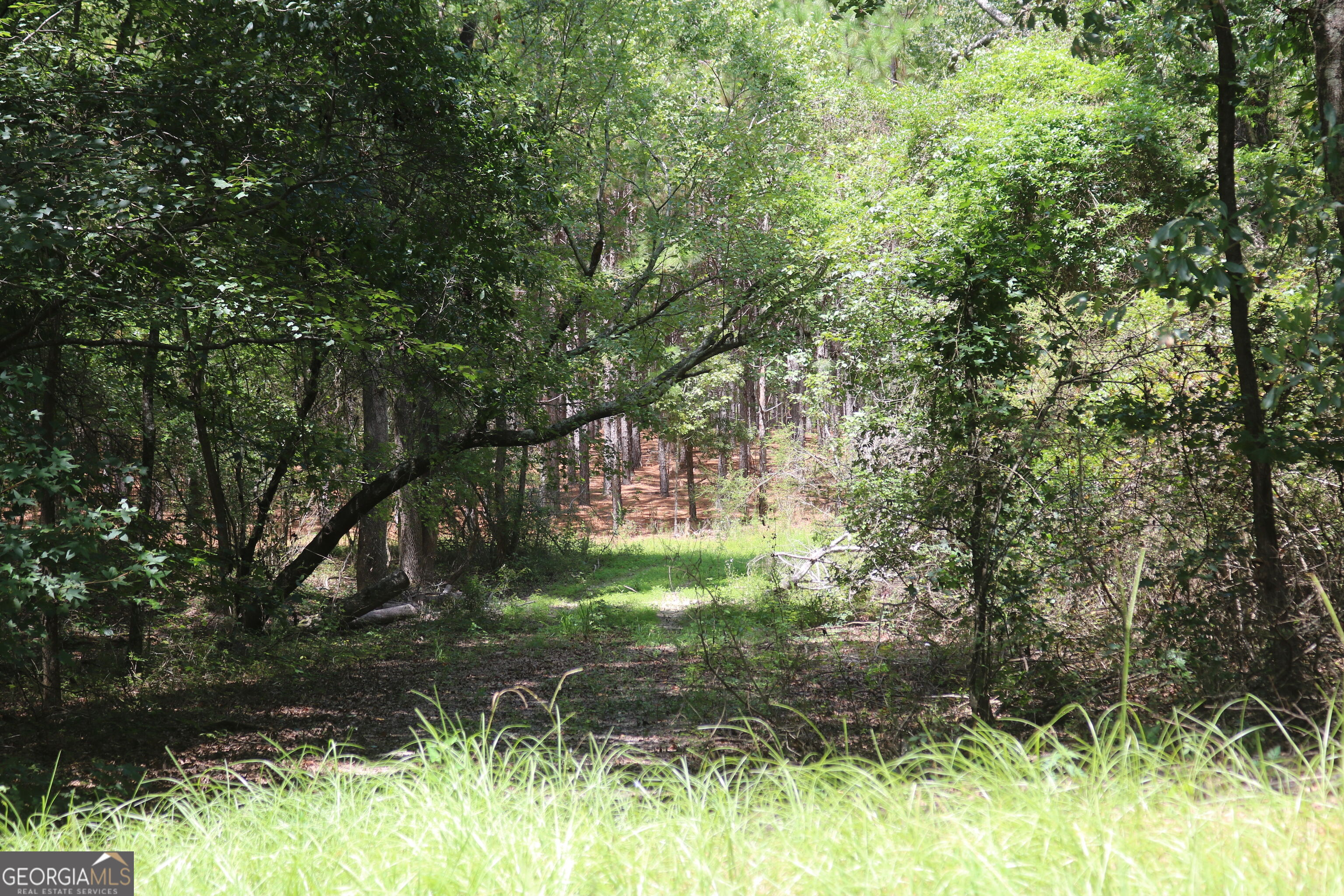 0 Barentine Road Rochelle, GA 31079 - Photo 23 of 38 Gallery Image 23