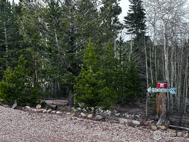 a view of a park with a tree