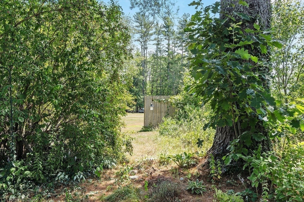 31 Pinedale Road Athol, MA 01331 - Photo 35 of 41 a view of a yard with plants and large trees