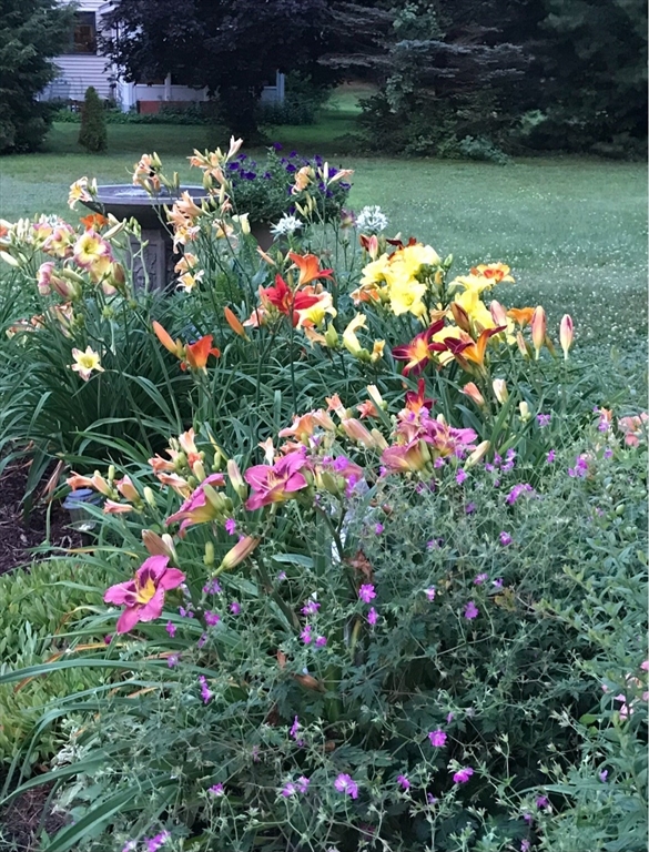 31 Pinedale Road Athol, MA 01331 - Photo 40 of 41 a view of a flower in a yard