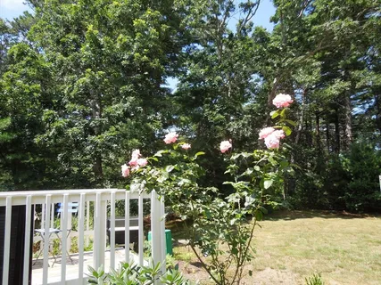 $635,000 | 46 Service Road, Sandwich, MA 02537