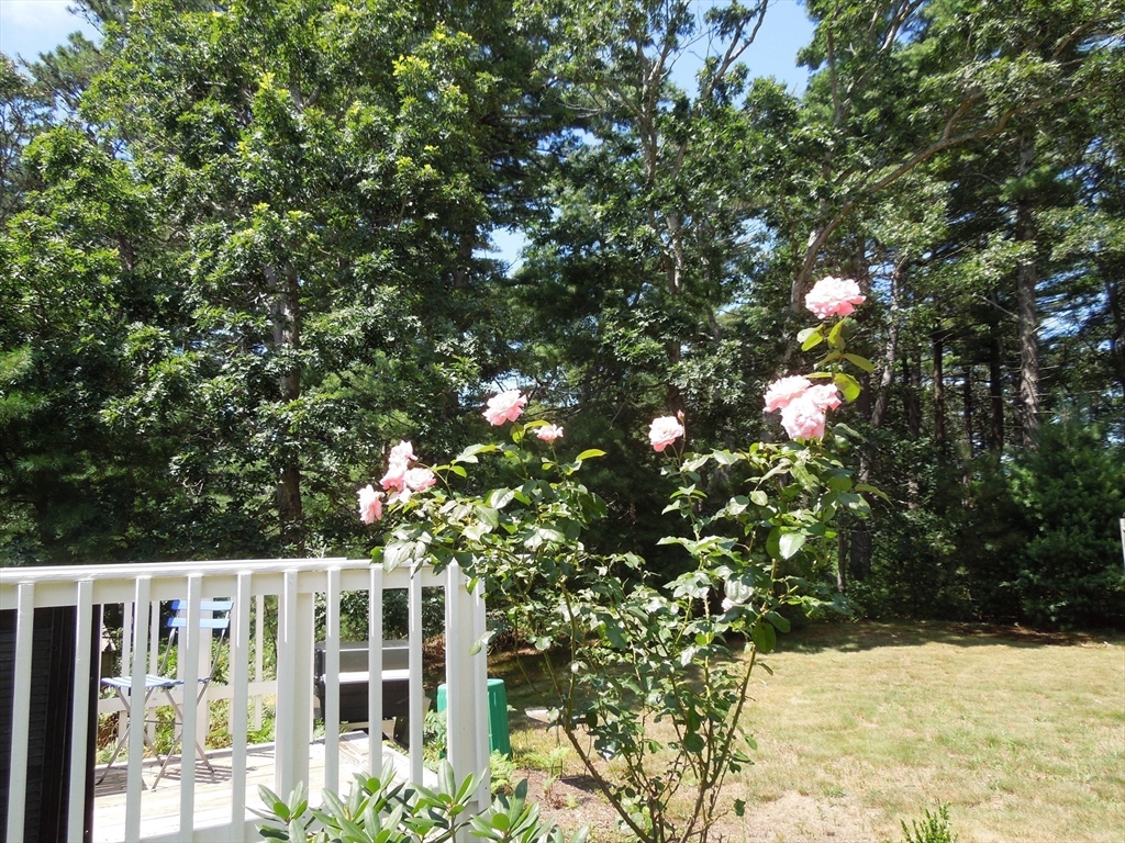 46 Service Road Sandwich, MA 02537 - Photo 30 of 35