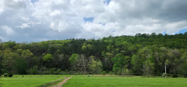 a view of lake with green space