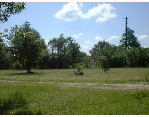 78110 Donnie Road Folsom, LA 70437 - Photo 2 of 6