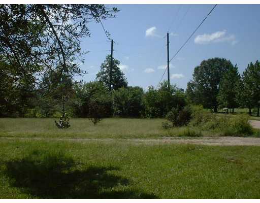 78110 Donnie Road Folsom, LA 70437 - Photo 3 of 6