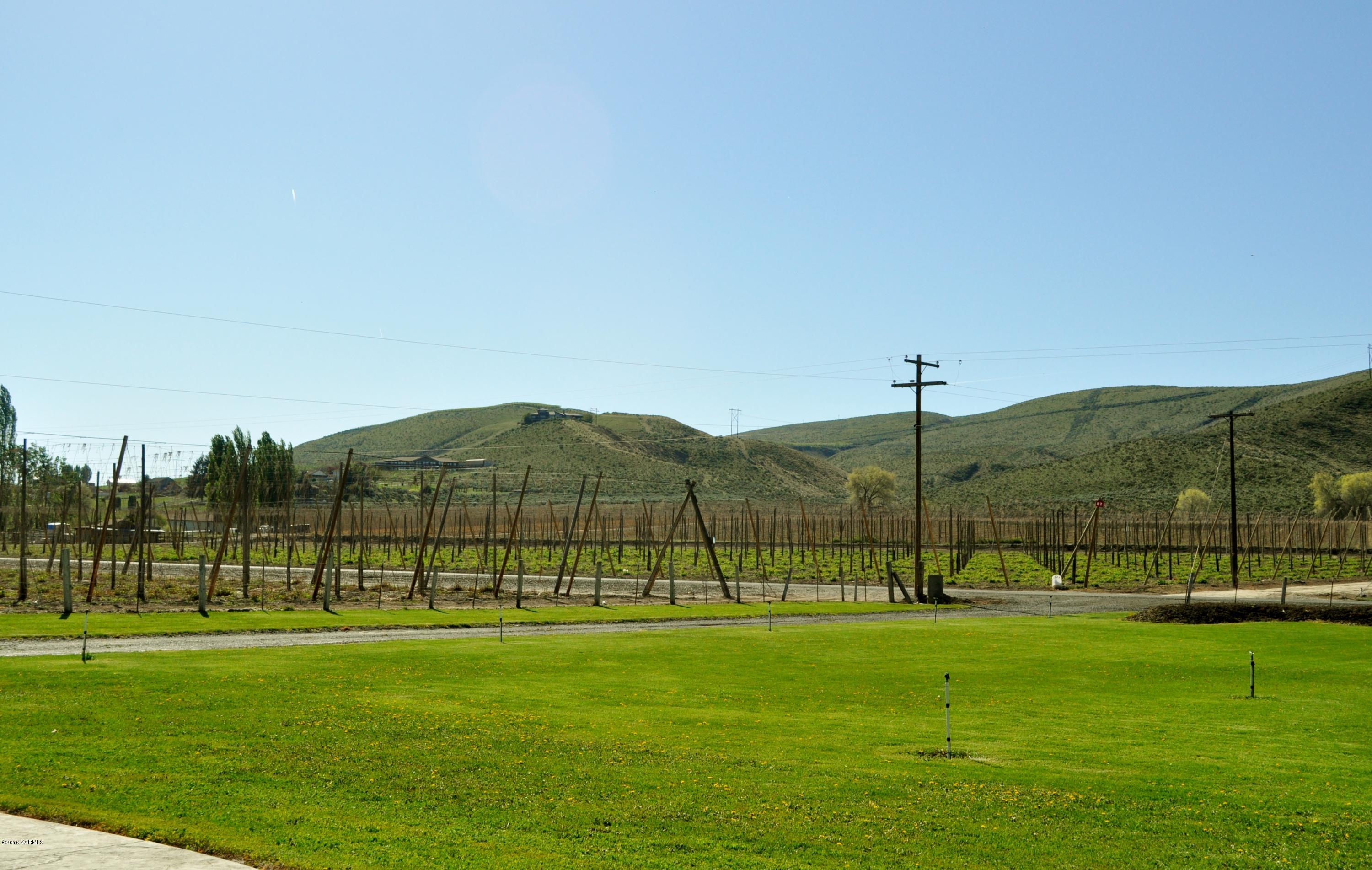 5011 Gamache Road Moxee, WA 98936 - Photo 16 of 26 a view of a park with a large trees