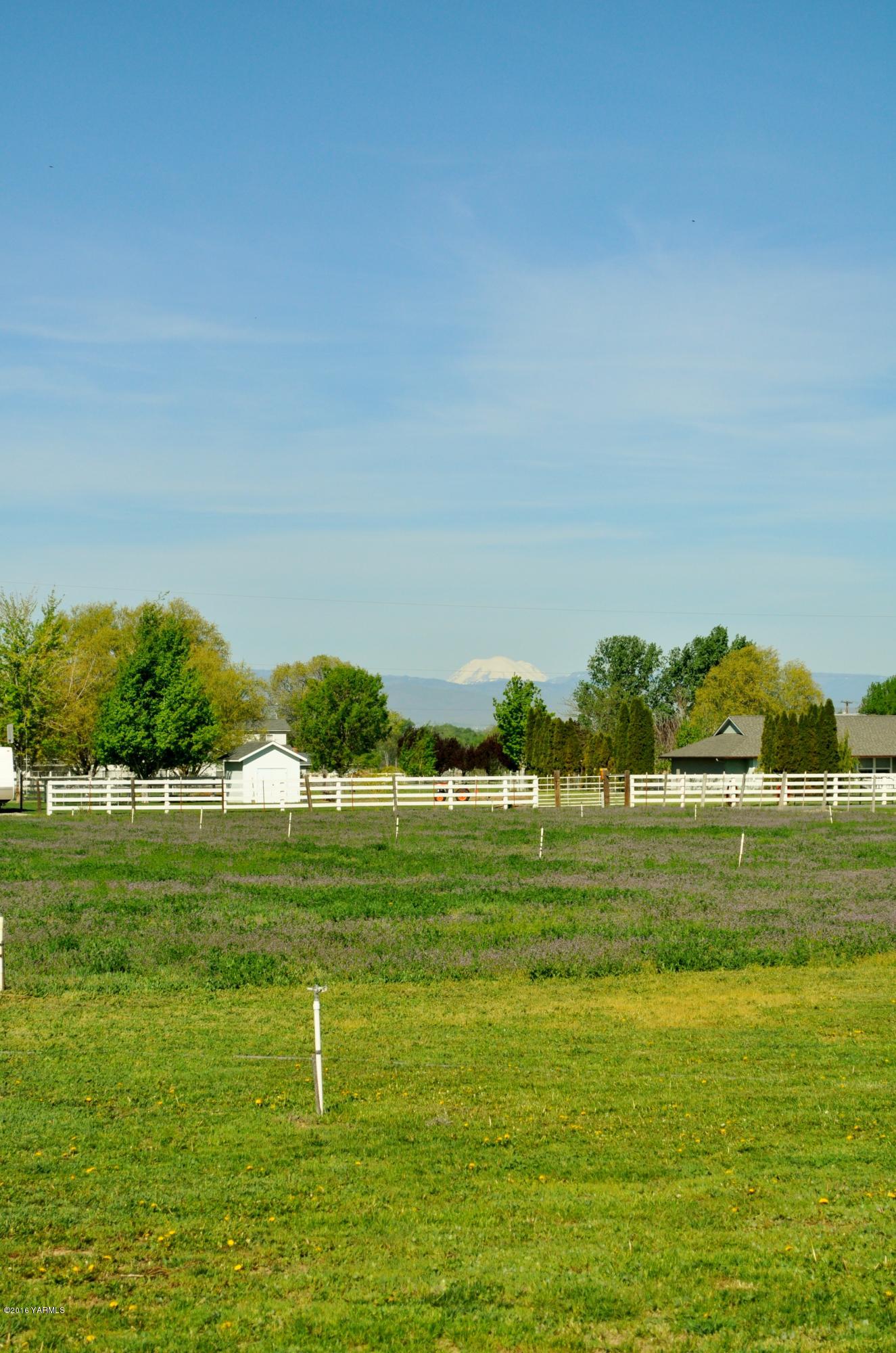 5011 Gamache Road Moxee, WA 98936 - Photo 19 of 26 a big yard with lots of green space and trees in the back