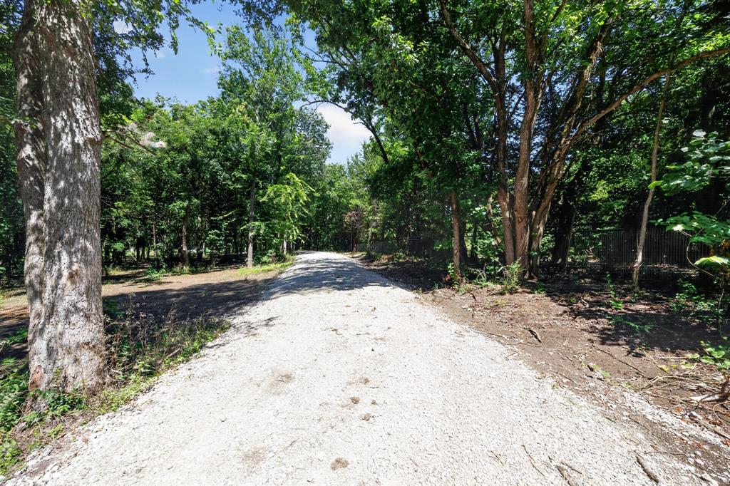 0 Willy Vester Road Van Alstyne, TX 75495 - Photo 4 of 19 a view of a yard with plants and trees