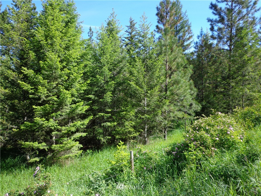 80 Lambert Cr Road Republic, WA 99166 - Photo 2 of 7 Gallery Image 2