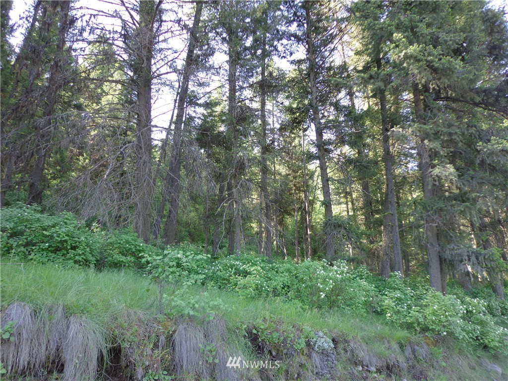 80 Lambert Cr Road Republic, WA 99166 - Photo 7 of 7 Gallery Image 7