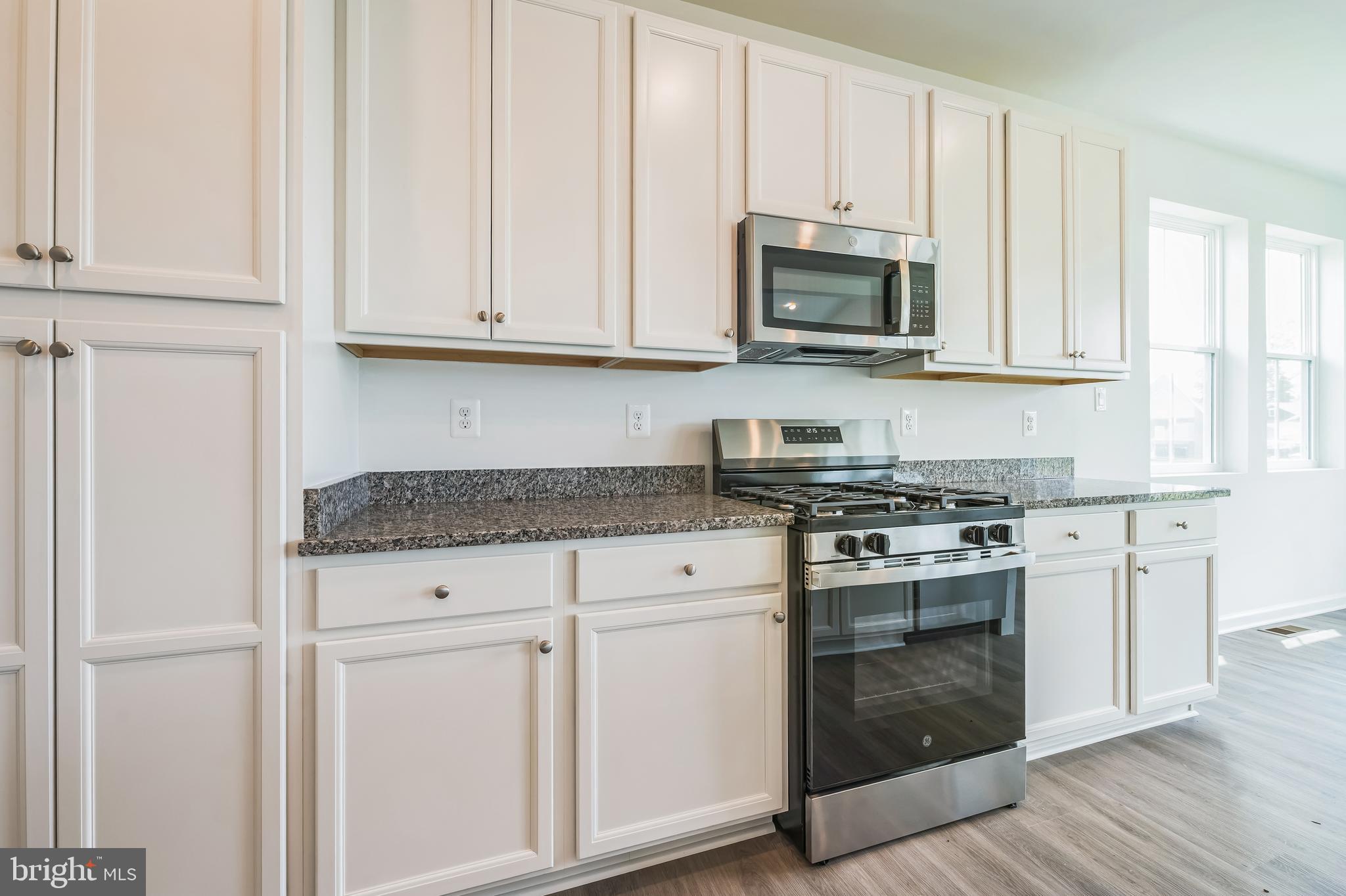 362 North Rdg Brk Drive Felton, DE 19943 - Photo 4 of 27