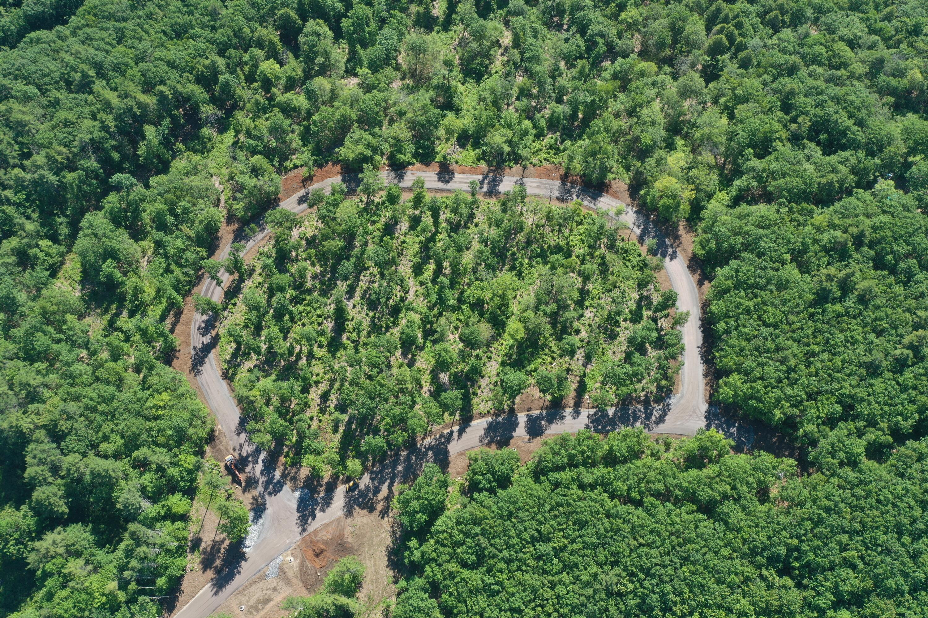 Lot 11 Casco Road Naples, ME 04055 - Photo 6 of 17 DJI_0799