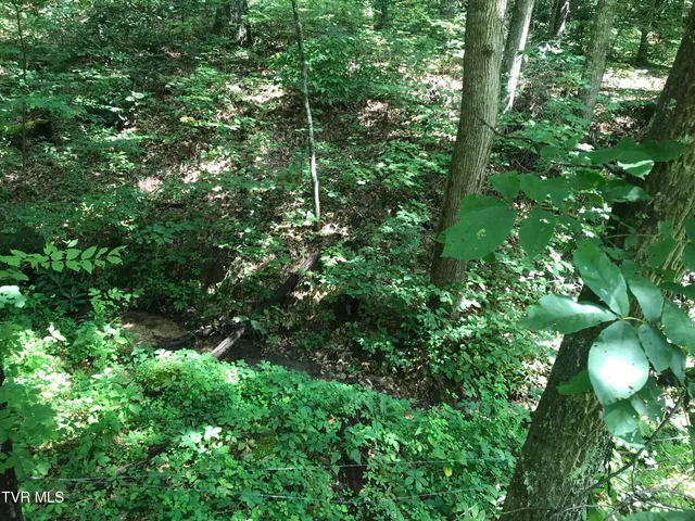 $24,900 | 0 Allen Lane, Unit 39, Greeneville, TN 37743