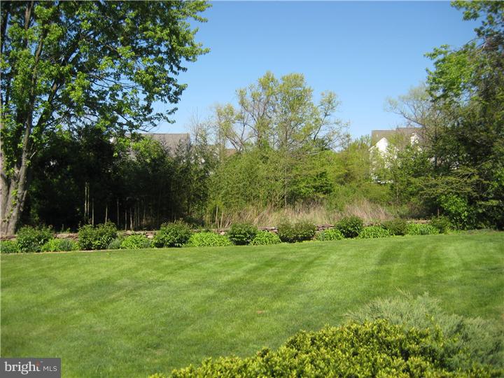 809 Norristown Road Lower Gwynedd, PA 19002 - Photo 14 of 16 Back Yard