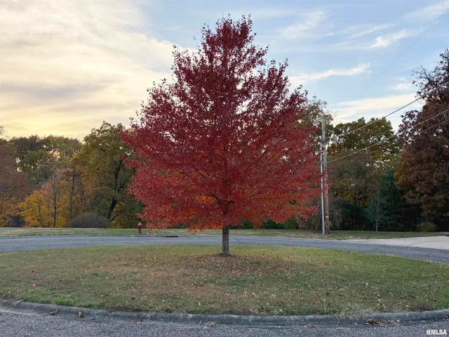 $44,900 | 43 Lynnwood Court, Morton, IL 61550