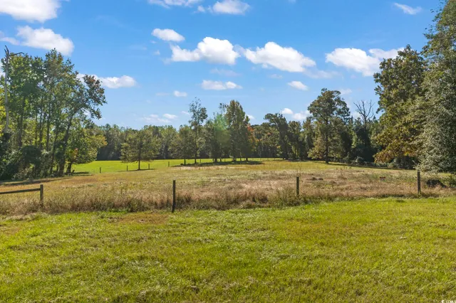 $585,000 | 2021 Walter Road, Galivants Ferry, SC 29544