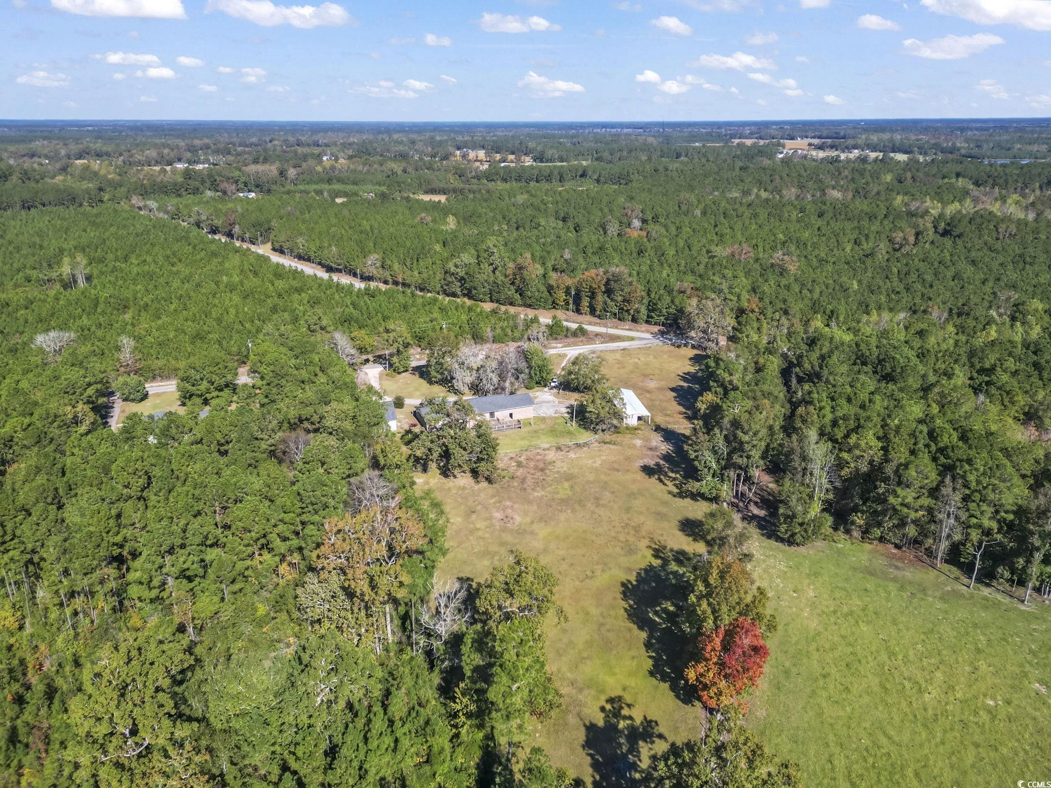 2021 Walter Road Galivants Ferry, SC 29544 - Photo 39 of 39