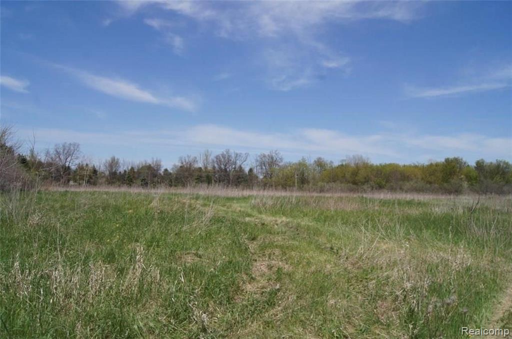 Vacant Land Vacant Land Merwin Road Lapeer, MI 48446 - Photo 3 of 3