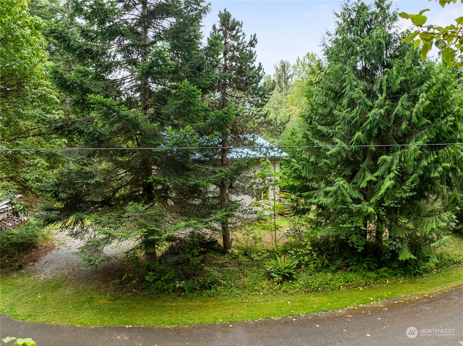 11091 Alpine Road Glacier, WA 98244 - Photo 31 of 39 Gallery Image 31