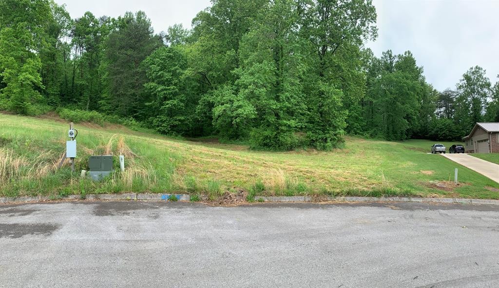 6 Briar Ridge Lane Strawberry Plains, TN 37871 - Photo 1 of 1