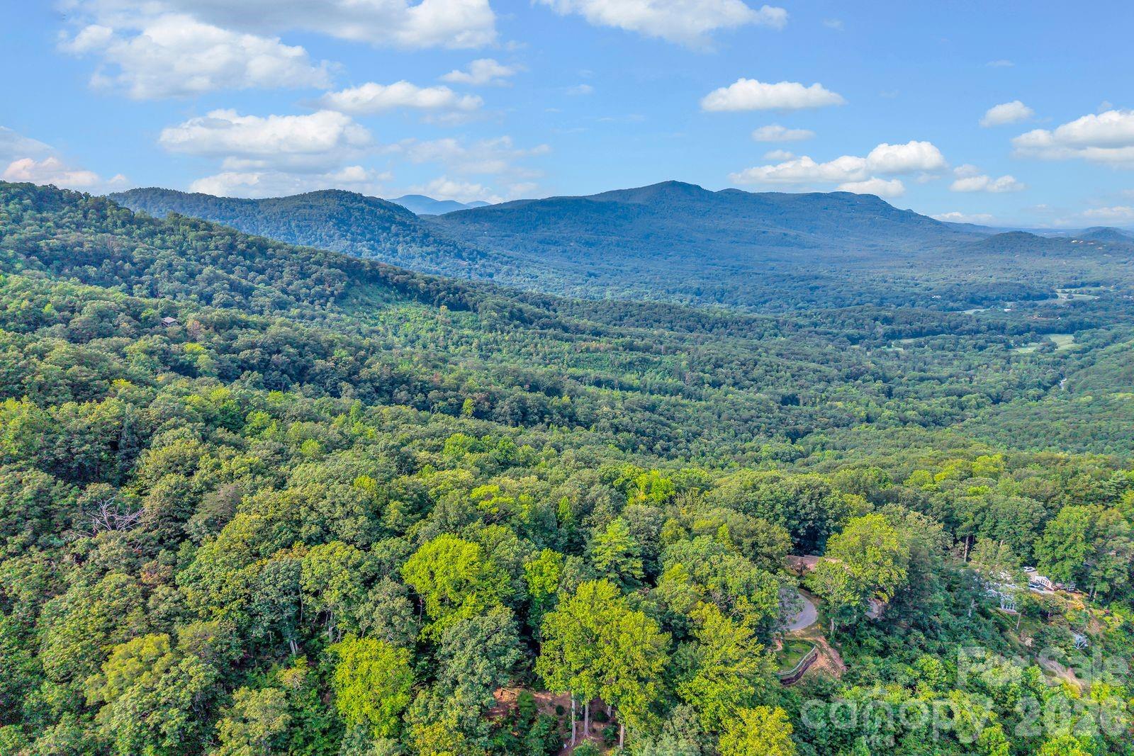 0 Hogback Mountain Road, Unit 63 Tryon, NC 28782 - Photo 6 of 16 Gallery Image 6