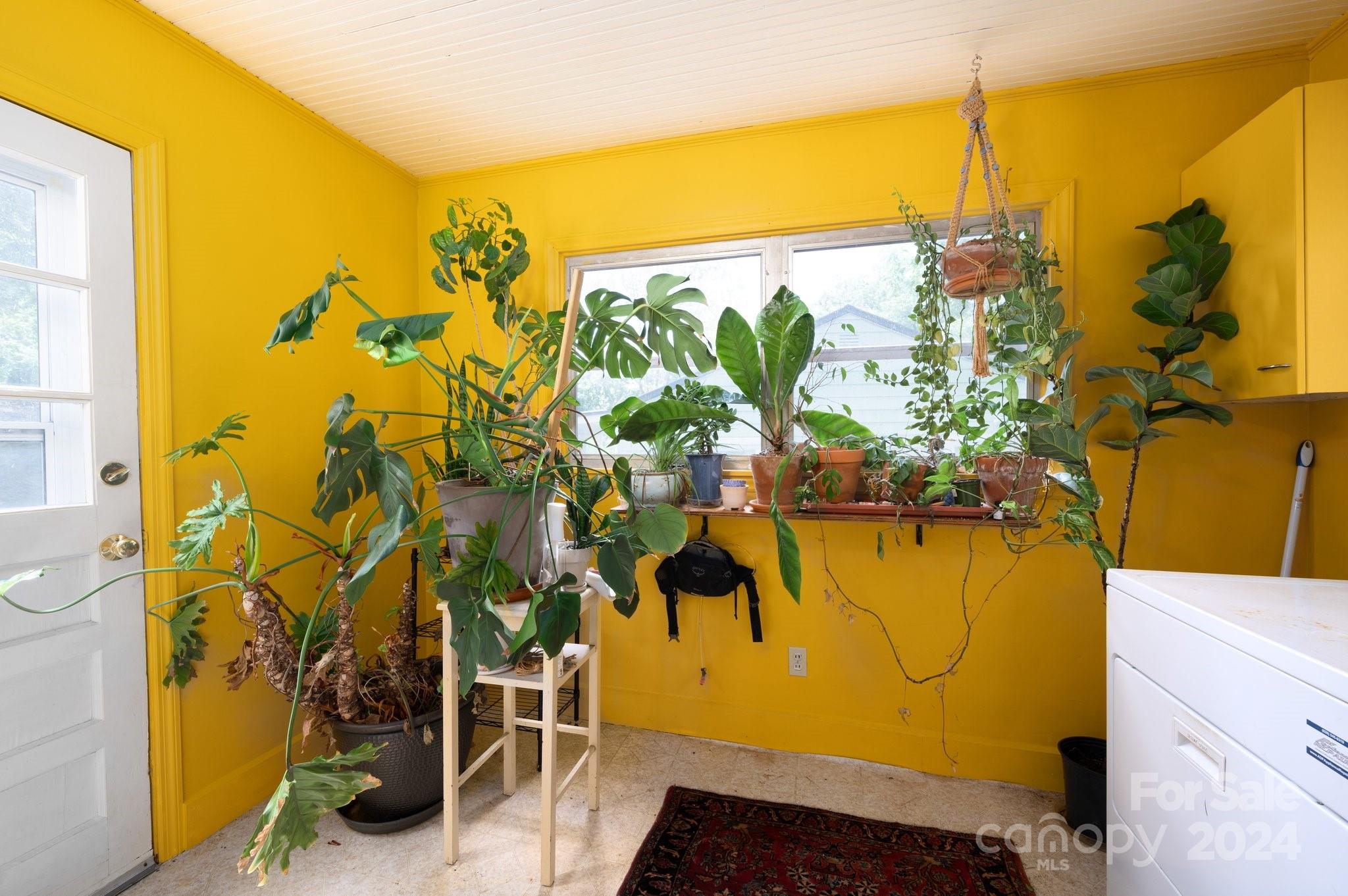 17 Pickwick Road Asheville, NC 28803 - Photo 8 of 21 Gallery Image 8