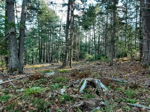 $65,000 | 30 Hunts Meadow Road, Pittston, ME 04345