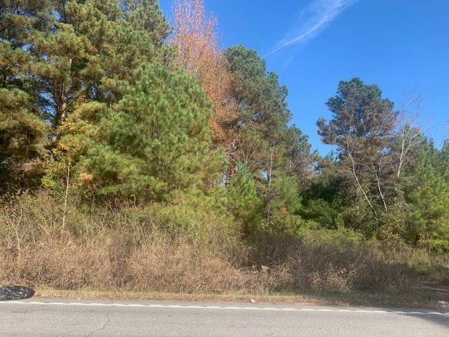 3135 Carter Road Sumter, SC 29150 - Photo 3 of 6 Gallery Image 3