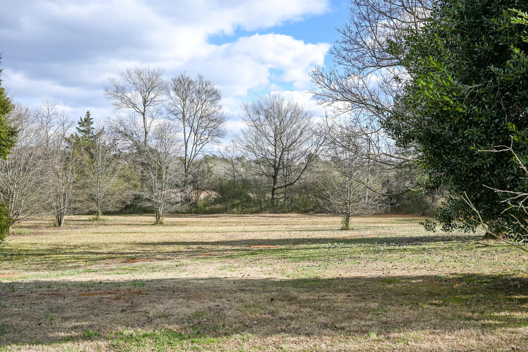 276 Mason Road McDonald, TN 37353 - Photo 65 of 67