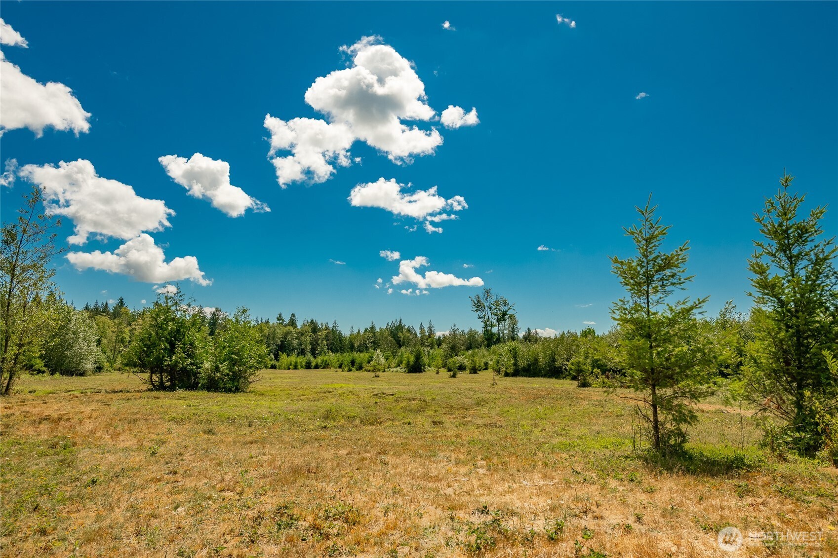 0 Sunrise Road Custer, WA 98240 - Photo 1 of 13 a view of a yard with an umbrella