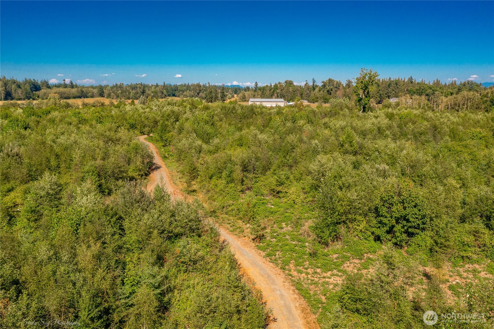 0 Sunrise Road Custer, WA 98240 - Photo 3 of 13 an aerial view of residential houses with outdoor space and trees