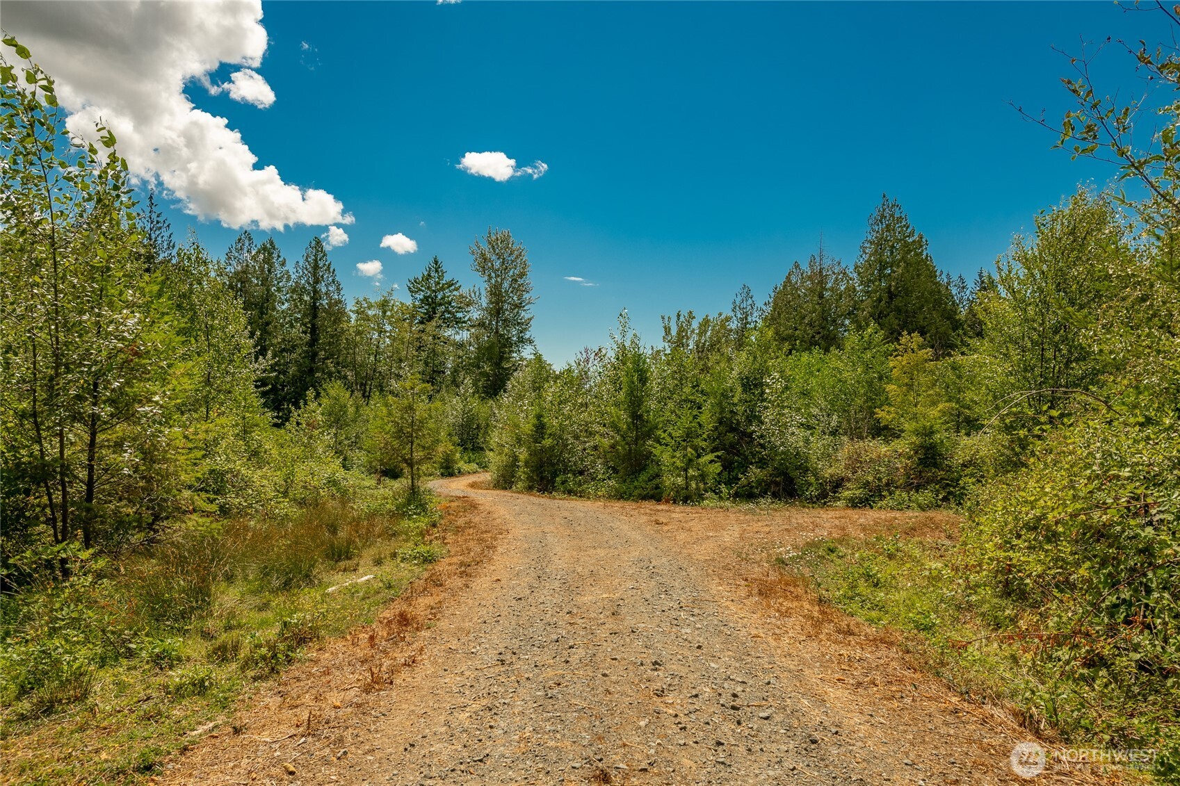 0 Sunrise Road Custer, WA 98240 - Photo 5 of 13 a view of a yard with a house