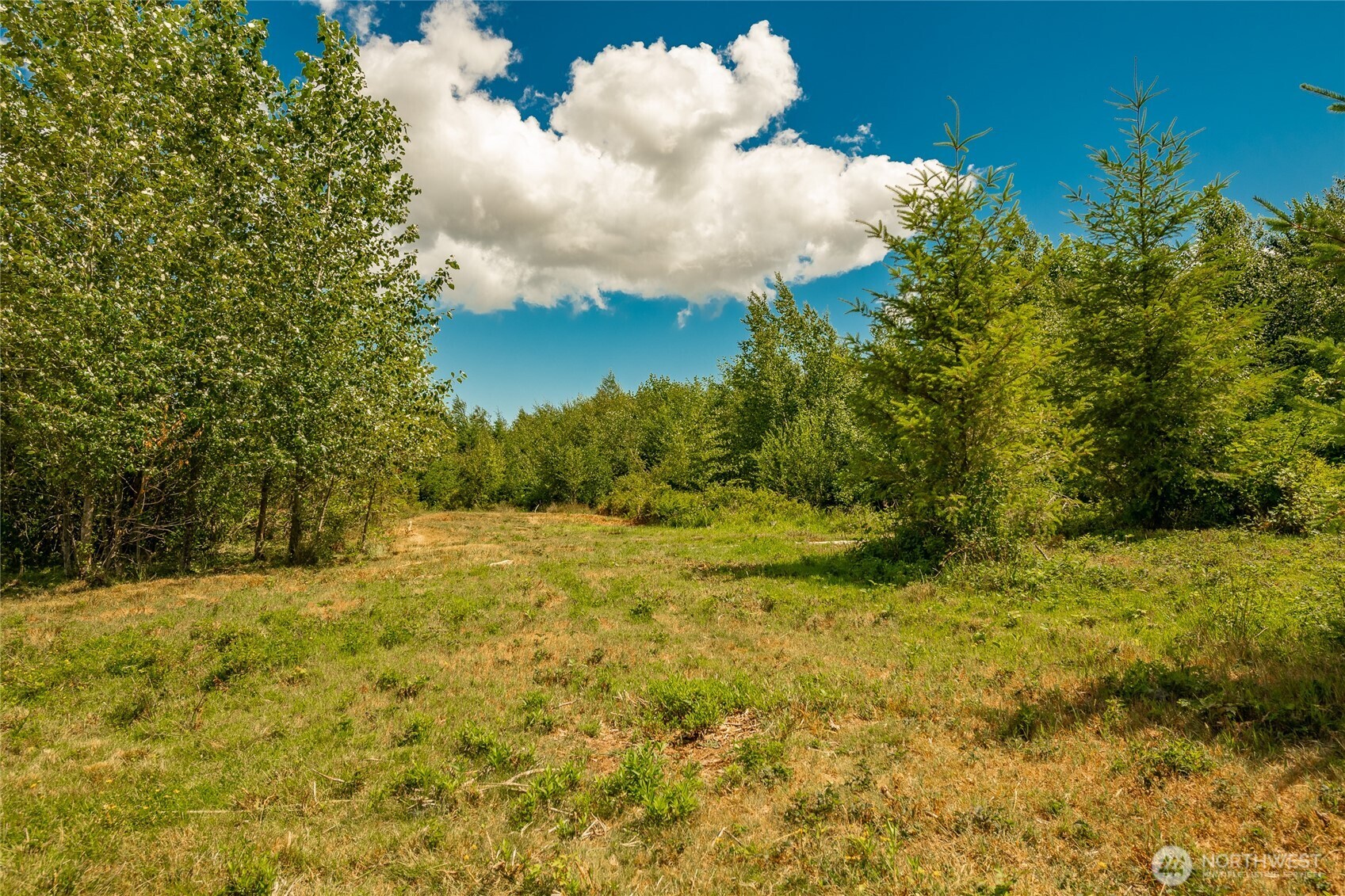 0 Sunrise Road Custer, WA 98240 - Photo 8 of 13 a view of a yard