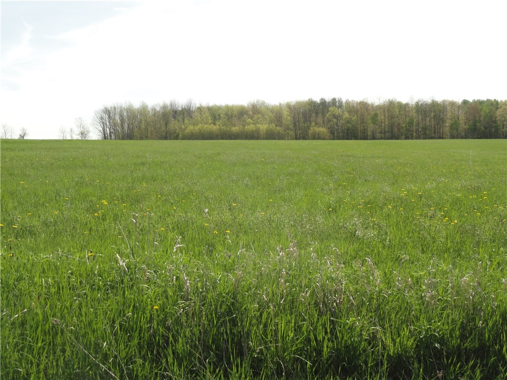 Lot 1 Tucker Road East Campbell, NY 14821 - Photo 1 of 1 Gallery Image 1