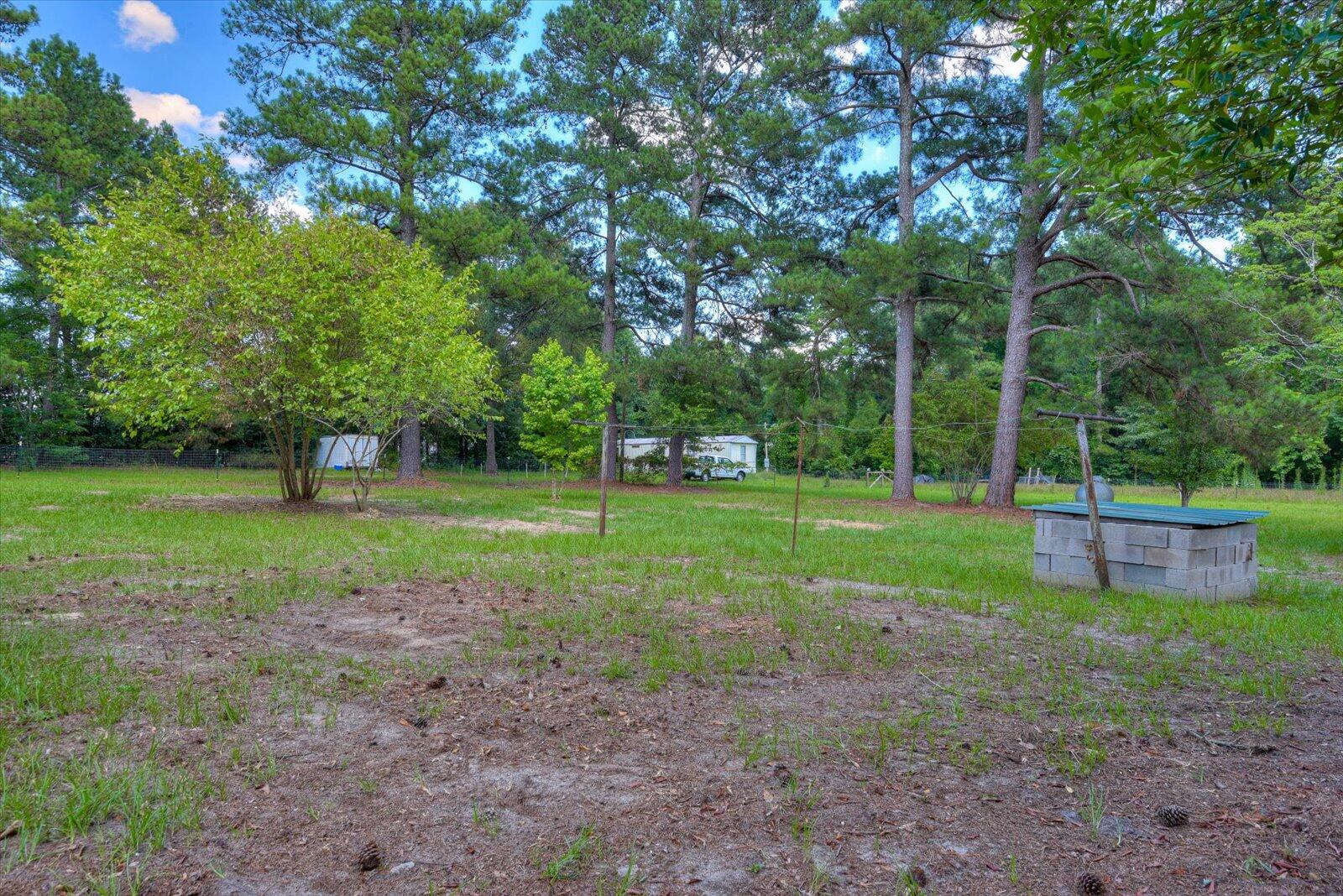 104 Rawls Mill Pond Road Wagener, SC 29164 - Photo 32 of 35 Gallery Image 32