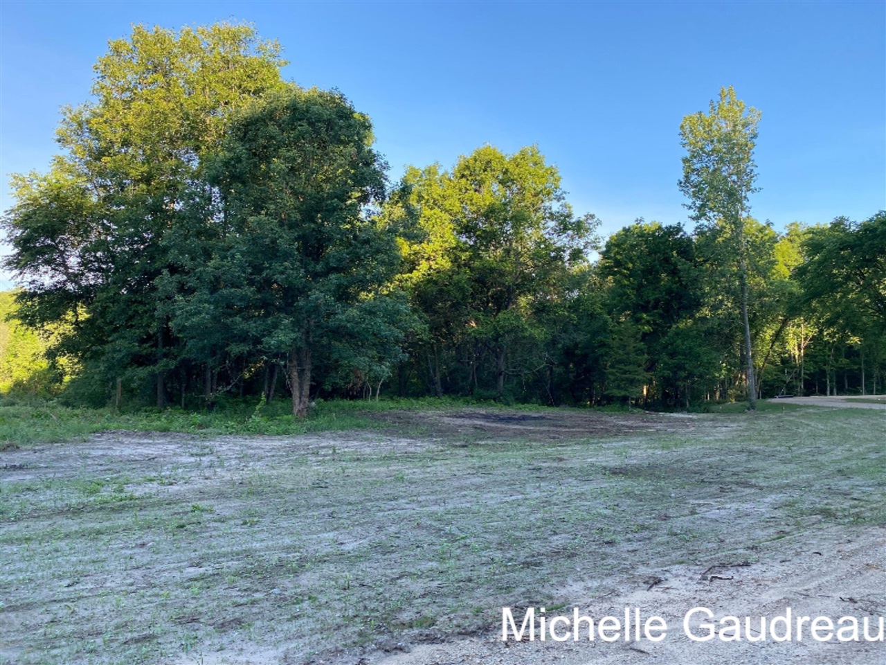 North N Ridge, Unit PARCEL 1 Middleville, MI 49333 - Photo 6 of 9